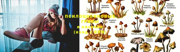 прущая мука Костерёво
