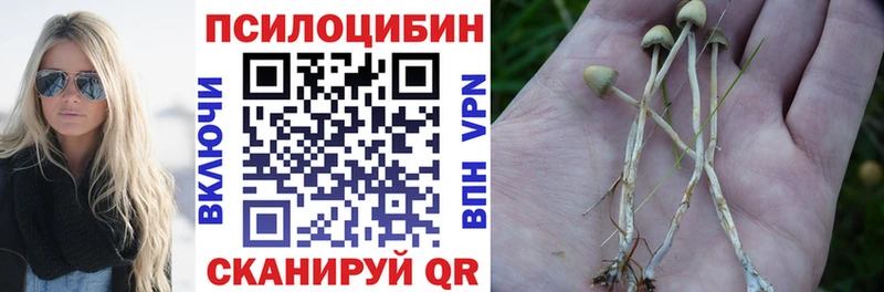 Псилоцибиновые грибы Psilocybine cubensis  где продают наркотики  Нижневартовск 